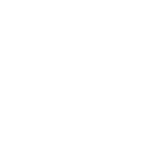 b.wild
